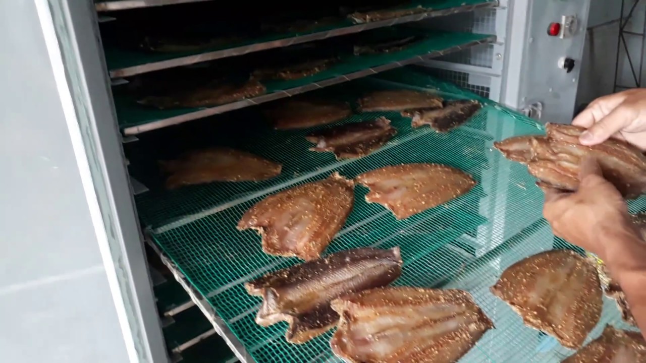 máy sấy lạnh cá khô