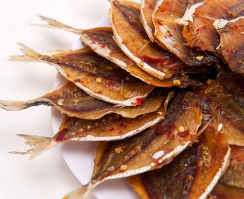 Máy sấy lạnh cá khô