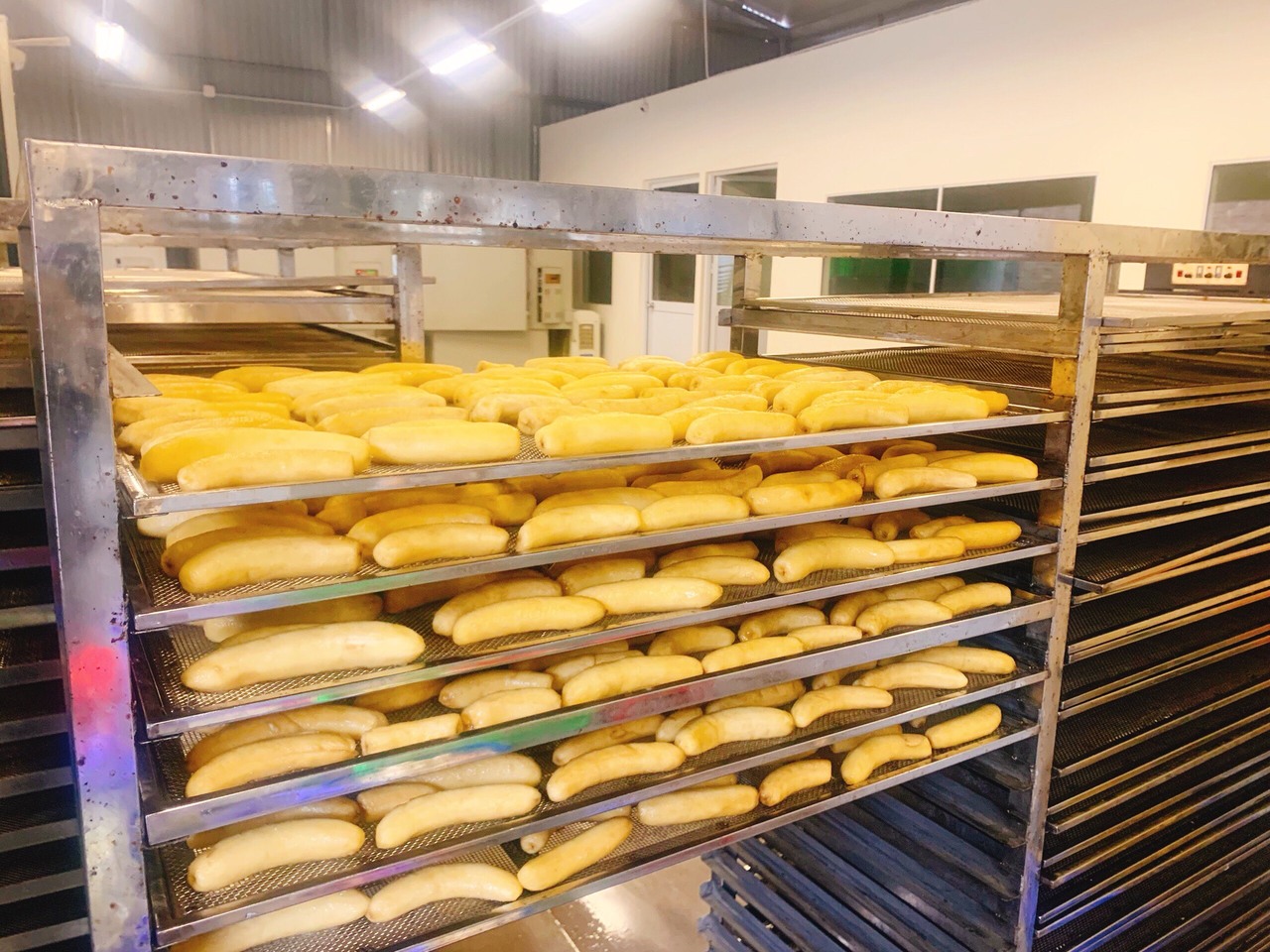 máy sấy lạnh chuối