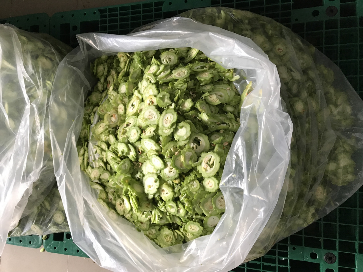 máy sấy lạnh rau củ quả