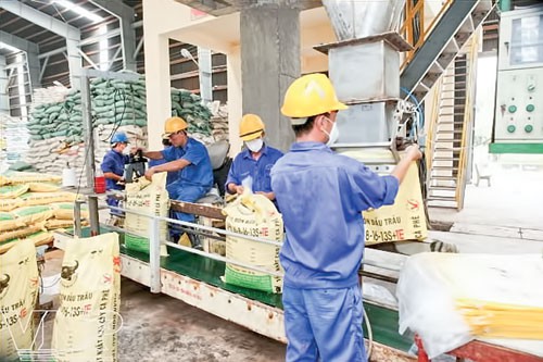 Máy đóng gói dạng bột