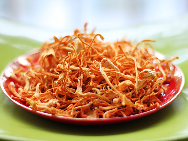 máy sấy lạnh đông trùng hạ thảo