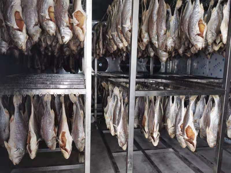 máy sấy lạnh hải sản