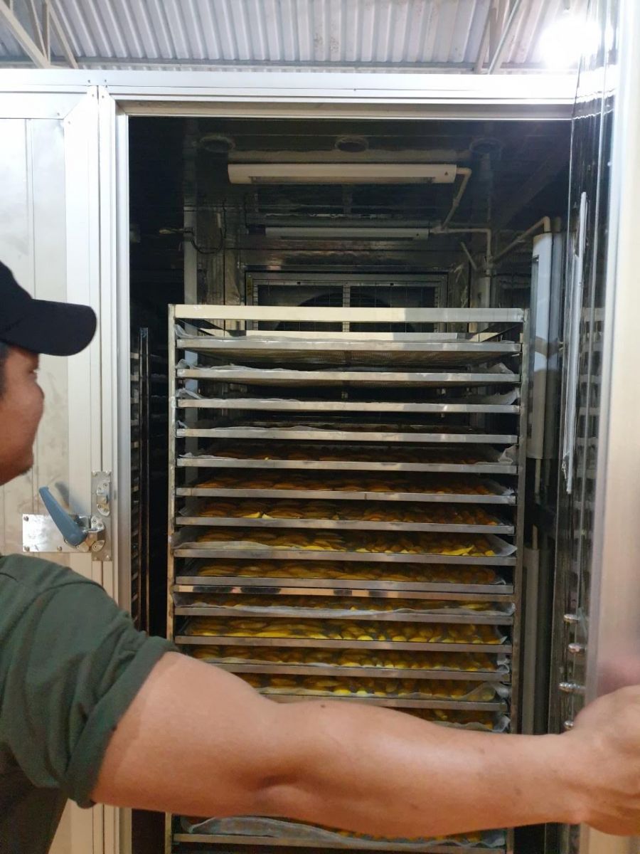 máy sấy lạnh công nghiệp