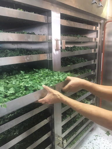 máy sấy lạnh thuốc nam