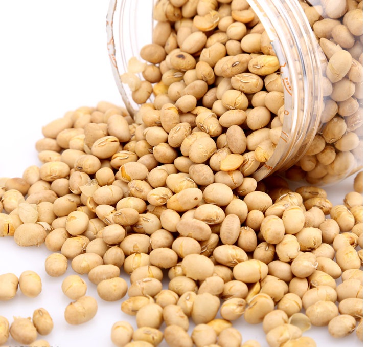 máy sấy lạnh đậu nành