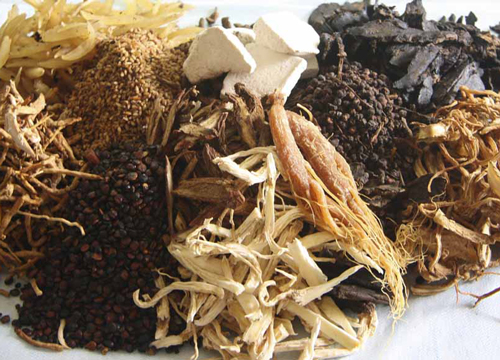 bán máy sấy lạnh dược liệu