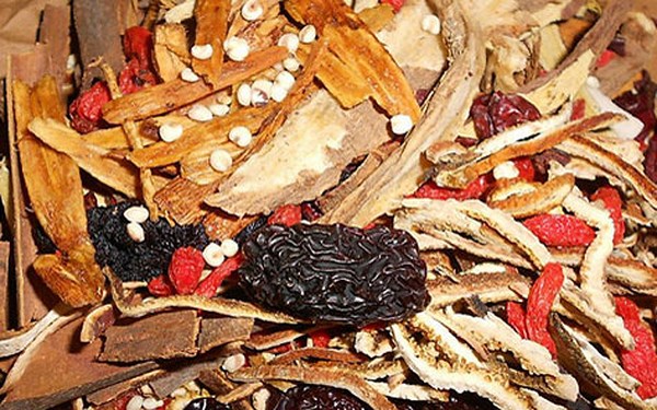 máy sấy lạnh thuốc nam