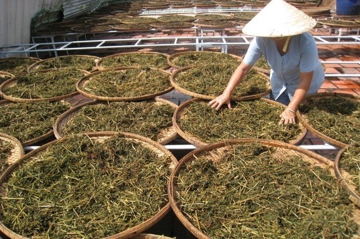 máy sấy lạnh thuốc nam