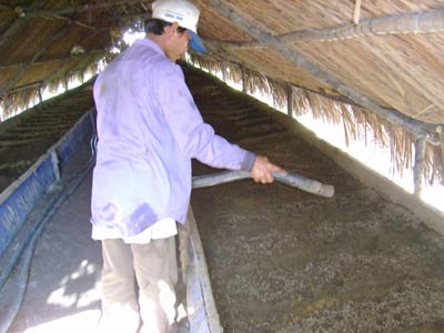 Máy sấy lạnh trùn quế